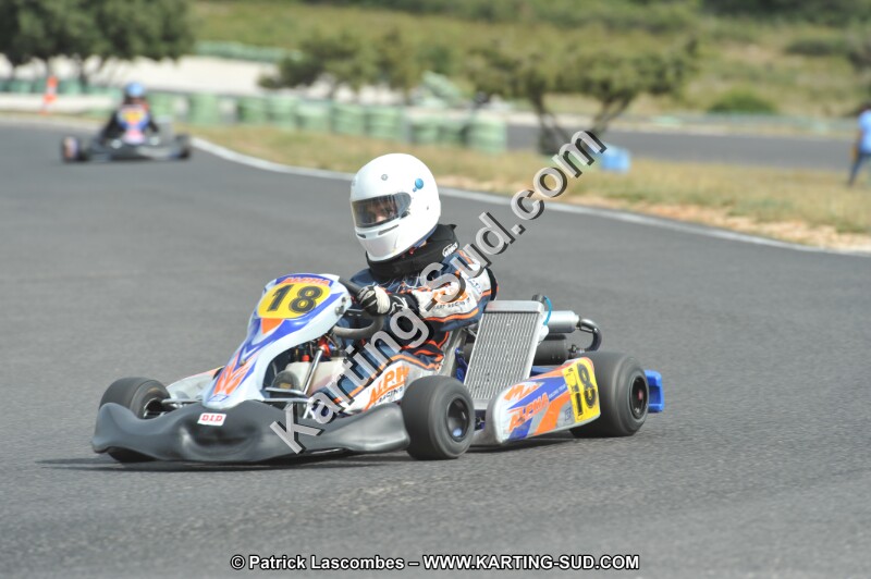 DSC (3704).JPG